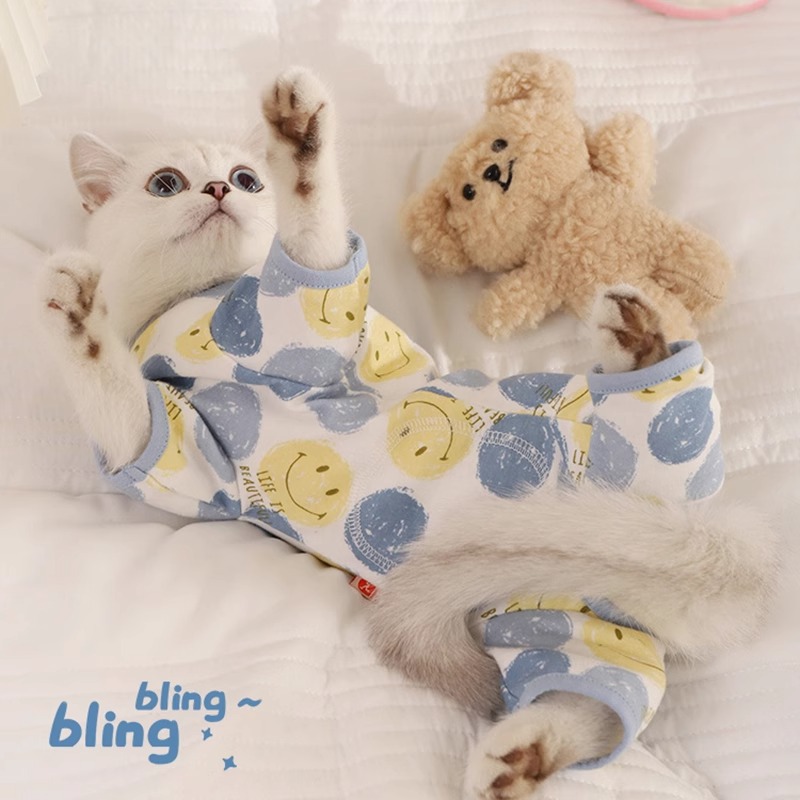 Ropa de gato Primavera y otoño Mascotas Gato Gato Plata Gatito Gatito Traje de otoño de cuatro patas para prevenir la caída del cabello Estilo fino destete Invierno