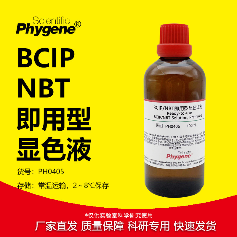 PH0405 BCIP/NBT碱性磷酸酯酶显色试剂盒 即用型 100mL Phygene