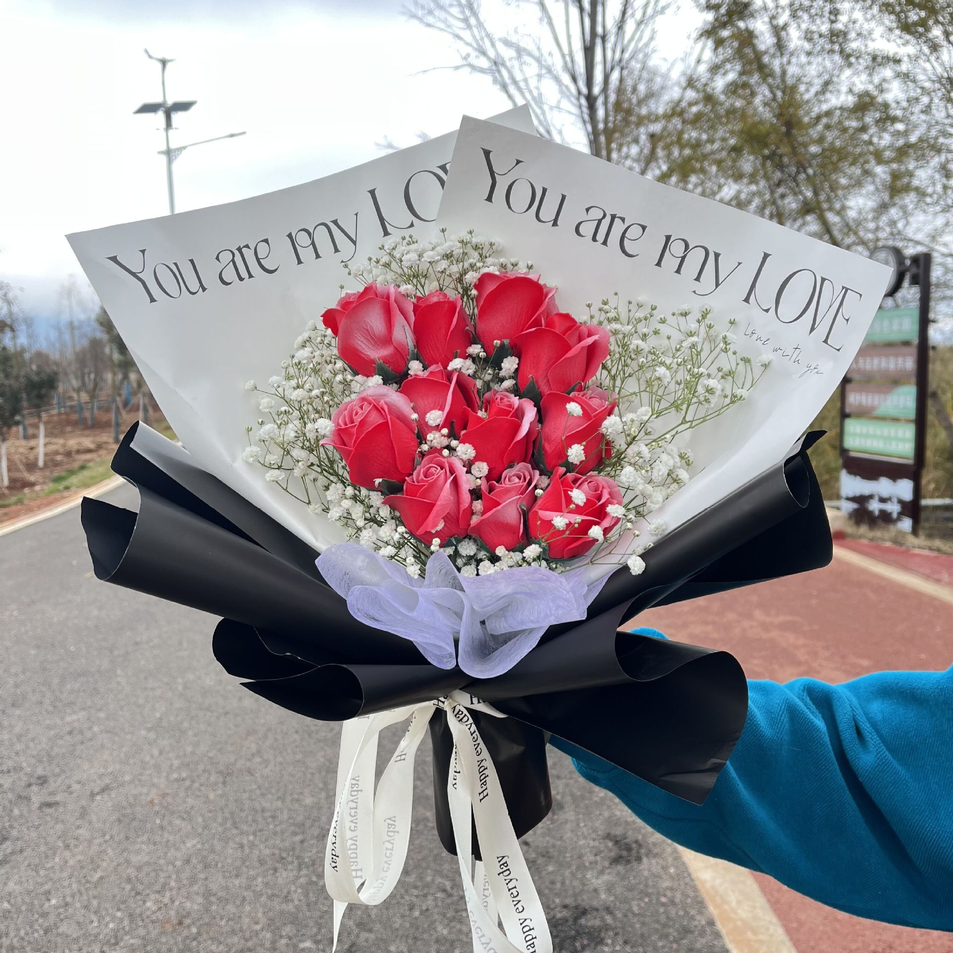 O1CN01C8DA3E2FwP9IFs9N8_!!3423