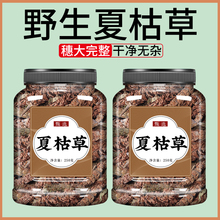 �Ŀݲݲ�500gҰ����ë�Ĺ����Ŀ����ĹȲ��S�ذ׾ջ���ˮ