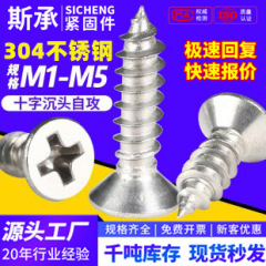 304kaステンレス十字沈頭タッピングねじ平頭釘タッピング家具木ねじ1m 2m 3m 4m 5