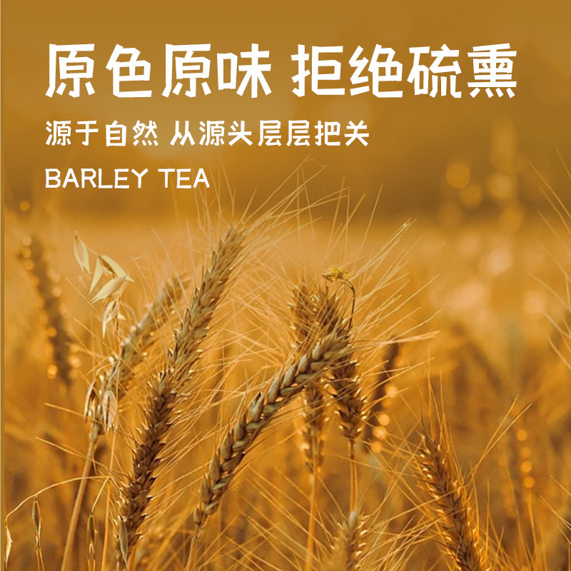 罐装220克大麦茶炒熟烘培浓香麦芽茶餐饮酒店大麦茶代用茶代发|undefined
