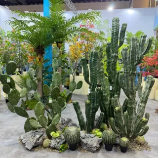 仿真龙神柱仙人掌寄生仙人球摩洛哥沙生植物造景软装样板工程装饰