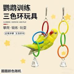 オウム三色リング鳥かごアクセサリークライミング DIY リングスタンド五色リング研削口噛みペット用品鳥のおもちゃ