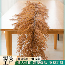 �ﶬ�������Rβ������ٗl�羳�f�}���}�Q�����չ��b�Ʒ����Gֲ