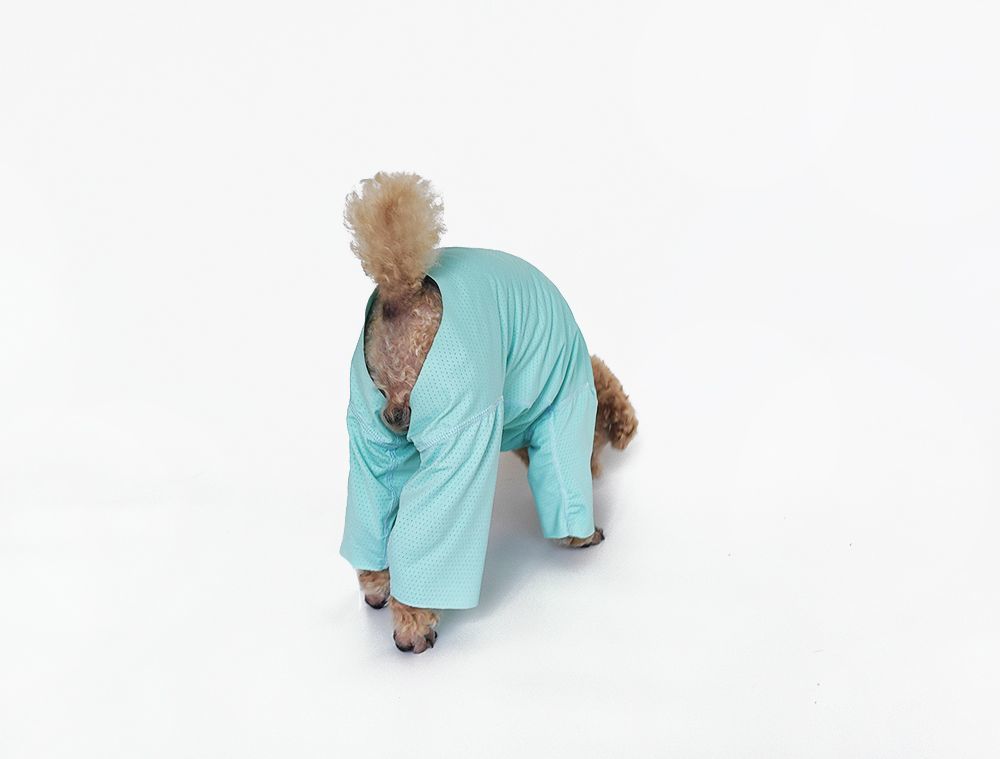 Svalkande hundklänning för bichon solskydd och insektskydd_voghion.com