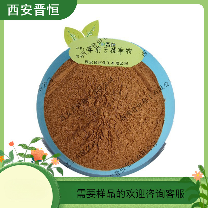 车前子提取物 比例提取水溶车前子粉 另有车前子壳提取物   现货