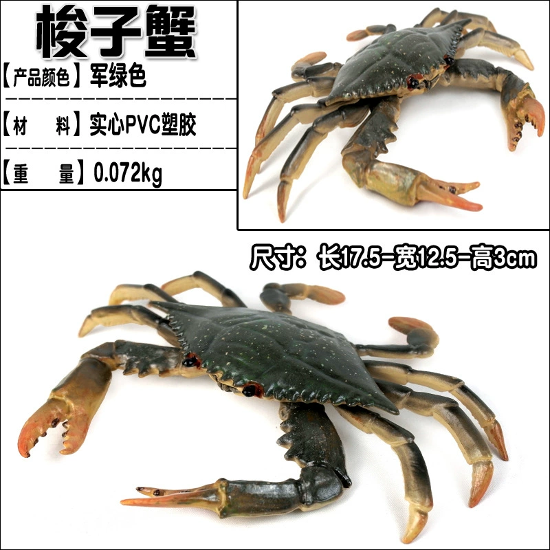 Игрушка, большие морские когнитивные украшения