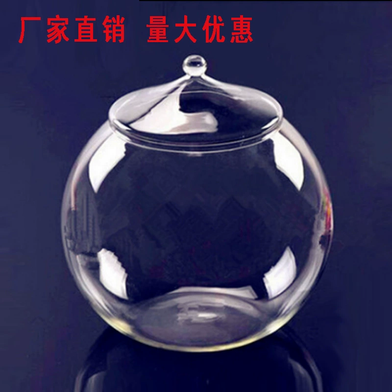 Миниатюрная ваза для растений, бутылка для мха, контейнер для выращивания суккулентов своими руками, стеклянная экологическая бутылка, мини-аквариум