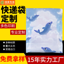 快递袋定制加厚耐磨防拉扯快递袋打包袋14丝顺丰物流包装袋多规格