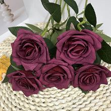 Nޱõ滨߼лlߙnõ廨^c҃bػ