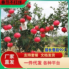 һlشʯͻ˹ܛʯͥԺo