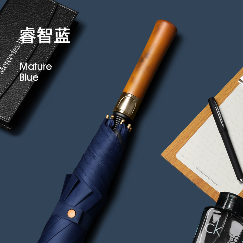 롱 우산 로그 골프-네이비 블루