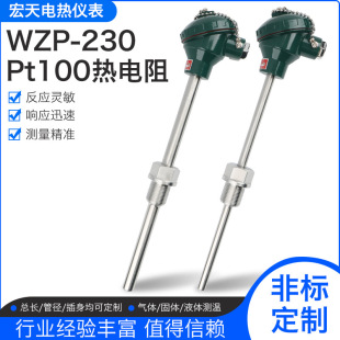 WZP130/WZP-230PT100zbWZP230żضȂ]