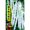 Undefeated nine white bean horn seeds farmland vegetable garden meat thick tender and crispy white shelf kidney bean white unclean vegetable seeds