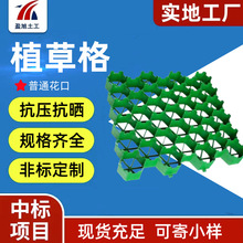 植草格花口4公分平口5公分园林绿化 停车场护坡用高抗压植草格
