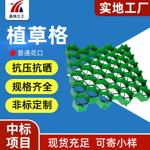 ֲ�ݸ񻨿�4����ƽ��5���ֈ@�־G�� ͣ܇���o���ø߿���ֲ�ݸ�