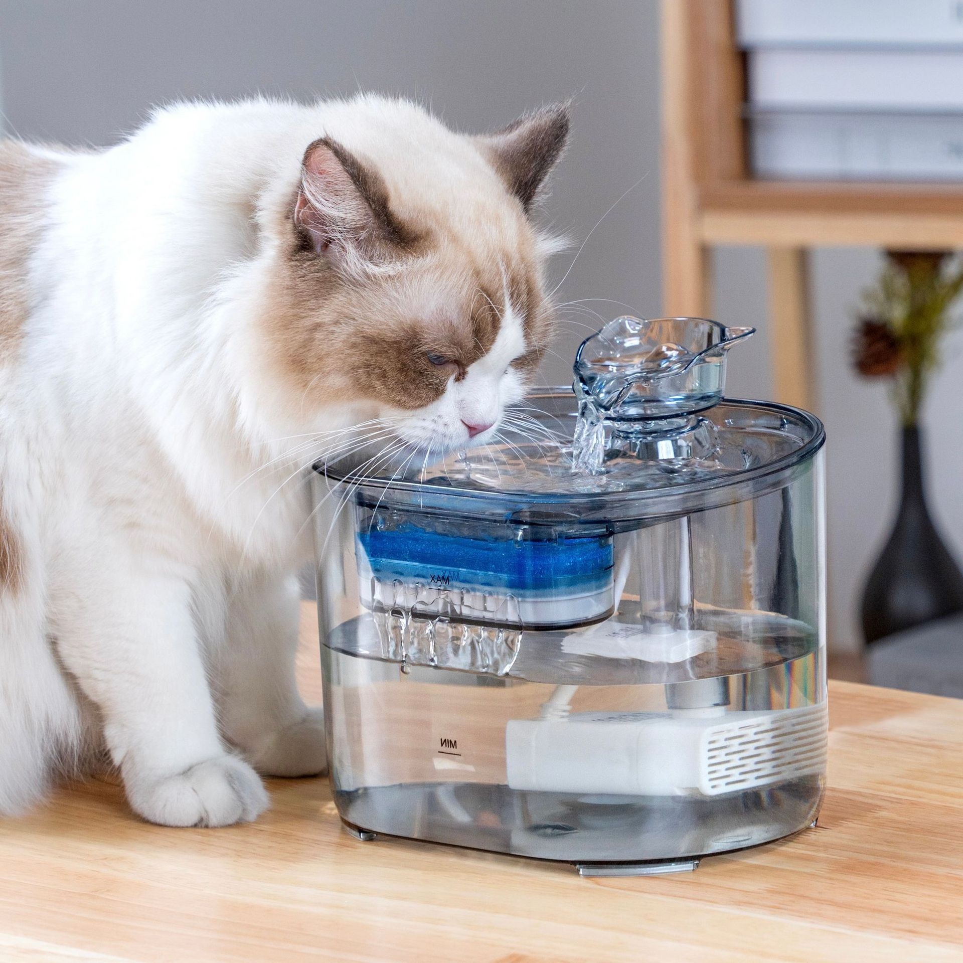 Cat water dispenser automático circulación de agua corriente nueva mascota water dispenser filtro tazón de agua silencioso agua viva explosión transfronteriza image 1