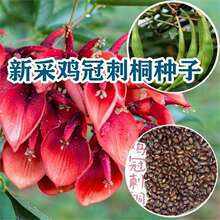 �²��u�ڴ�ͩ�N�� ������ͩ�N�� �u�ڶ��N�� �����t �u�ڻ���N��