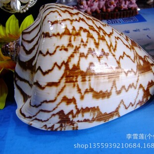 13-15����ɽˮ�� �ͮ����� ��Ȼؐ���������l ���к��Ҿ��b�Ʒ