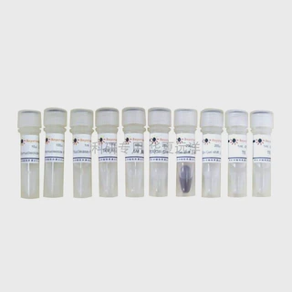GS002-100次 EMSA/Gel-Shift 试剂盒