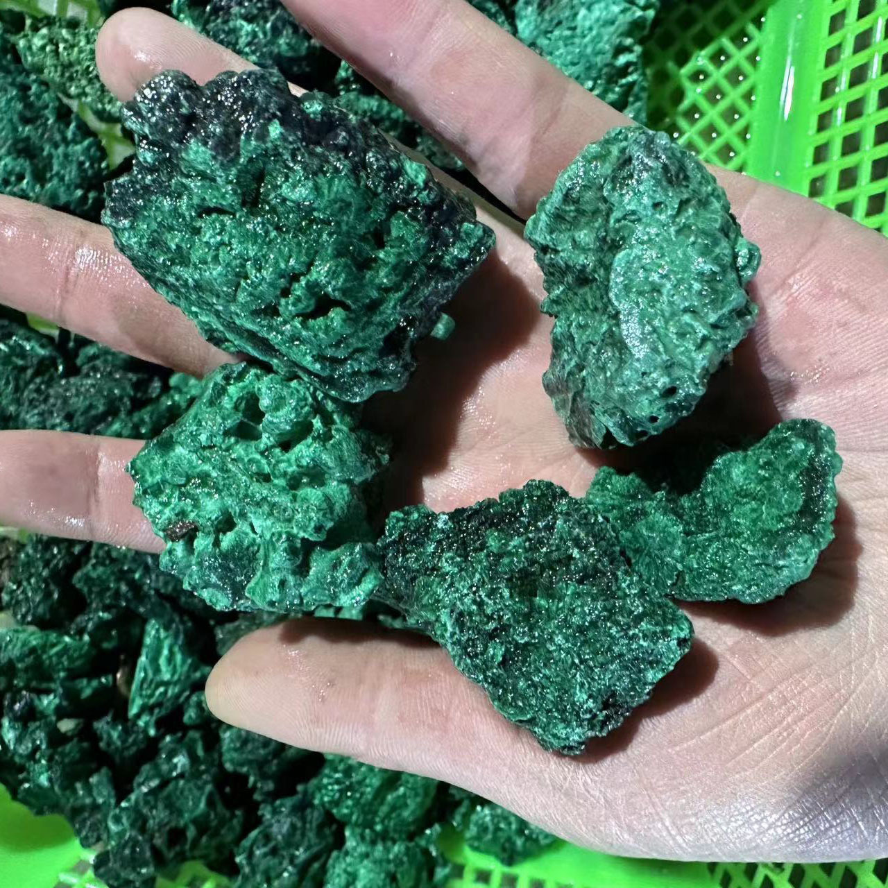 微信图片_20230203195233