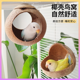 �W�^Ҭ���B�CҬ�Ӛ��B�C�ļ��B�C��C�W�^�Cĵ���B�C�B�����S���l
