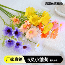 5头小雏菊假花仿真花客厅装饰餐桌插花艺干花绢花拍照摆件向日葵