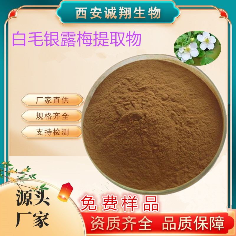 白毛银露梅提取物10：1食品级原粉厂家植物现货原料提取