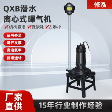 批发QXB潜水离心式曝气机曝气增氧系统装置污水泵潜水泵增压泵