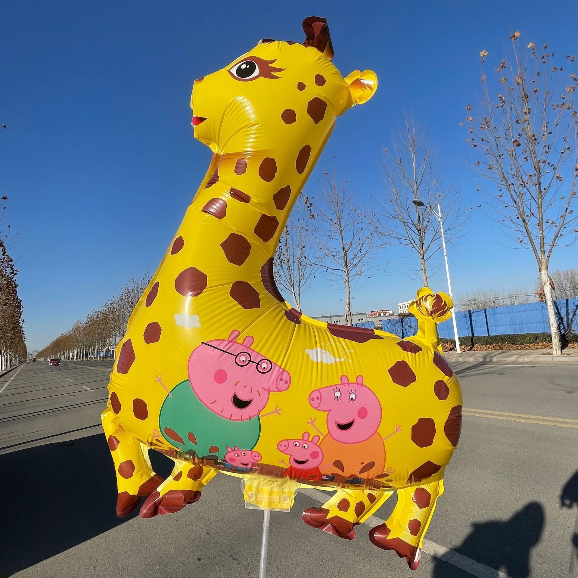 O1CN01kYiTgu2B00CWWiCXA_!!4203