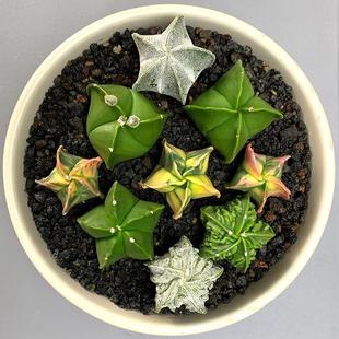 ��������ɳ���������Ľ���Ǻ����[�P���\���V�������k���ҾGֲ