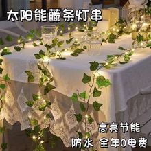 ̫���LED����G�~�ٗl�~����ͥԺ�̨�řڇ����Շ��b�����