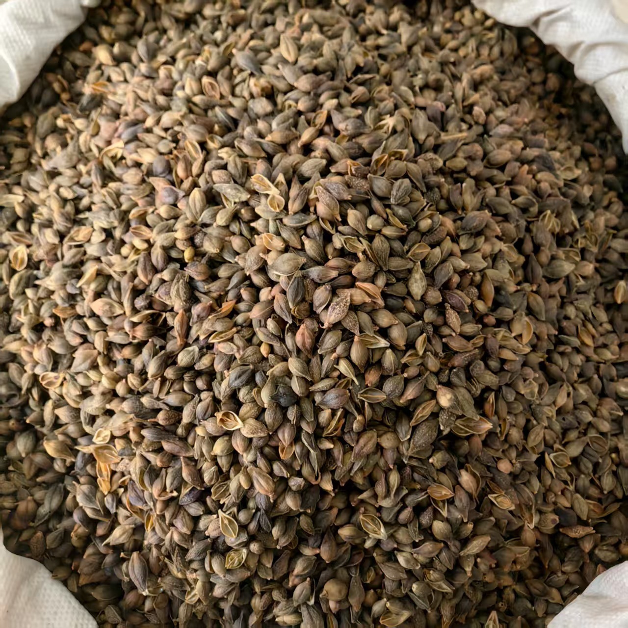 Dried Forsythia Fruit Lian Qiao Qing Qiao Whole Clean 500g quality and texture