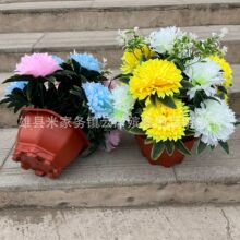 �˽��� ��Ʒ�l؛ �����r���軨 ���������Ʒ���l ���������滨��