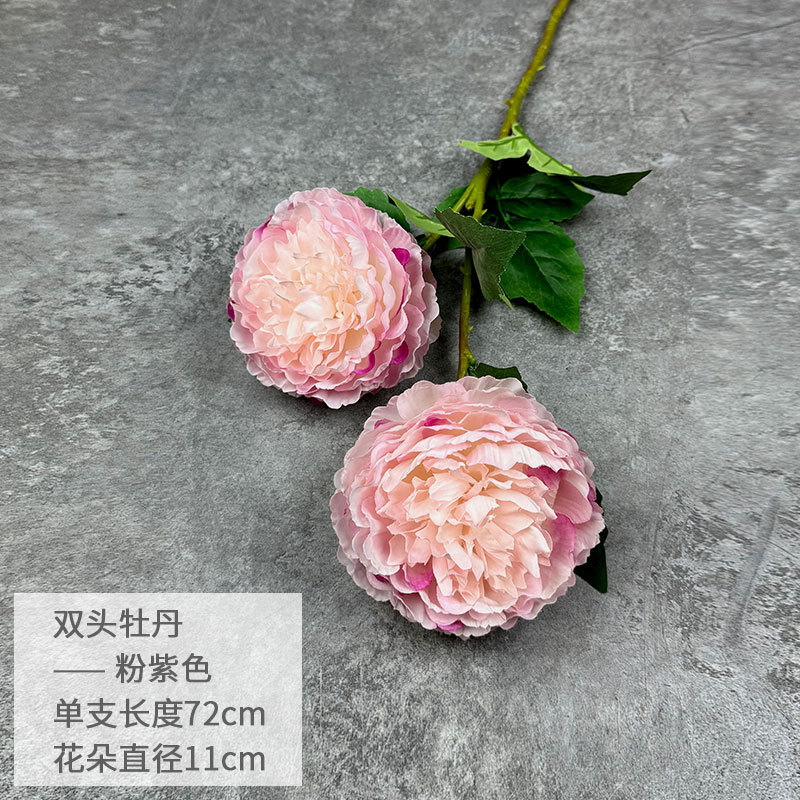 핑크 퍼플