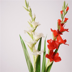 �S�ҹ������滨���m����c�b�ɫ��֧�ٻ��Ƶ��d���������