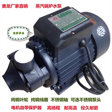 奥龙水泵15DW750瓦高压旋涡泵蒸汽发生器电加热1.1KW颗粒锅炉水泵