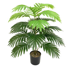 亚马逊跨境仿真绿植散尾葵棕榈叶手感胶片铁树叶家居园林绿化装饰