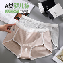 a类棉大码平角内裤女纯棉200斤加长裆7A抗菌运动风少女学生安全裤