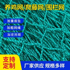 其他塑料网;农业塑料网;攀爬网