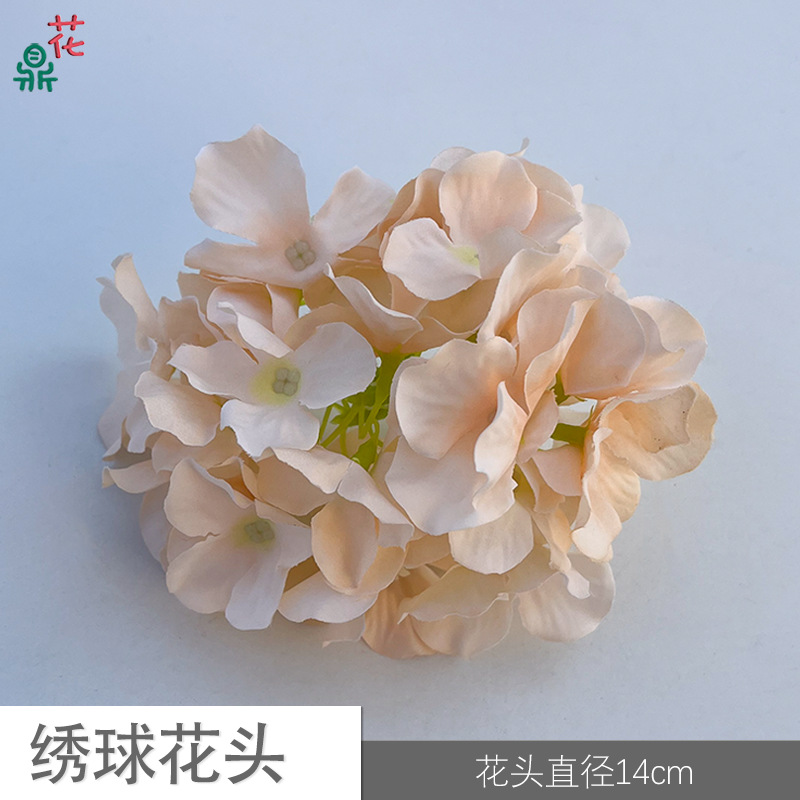 12 수국 머리 YY 핑크 샴페인