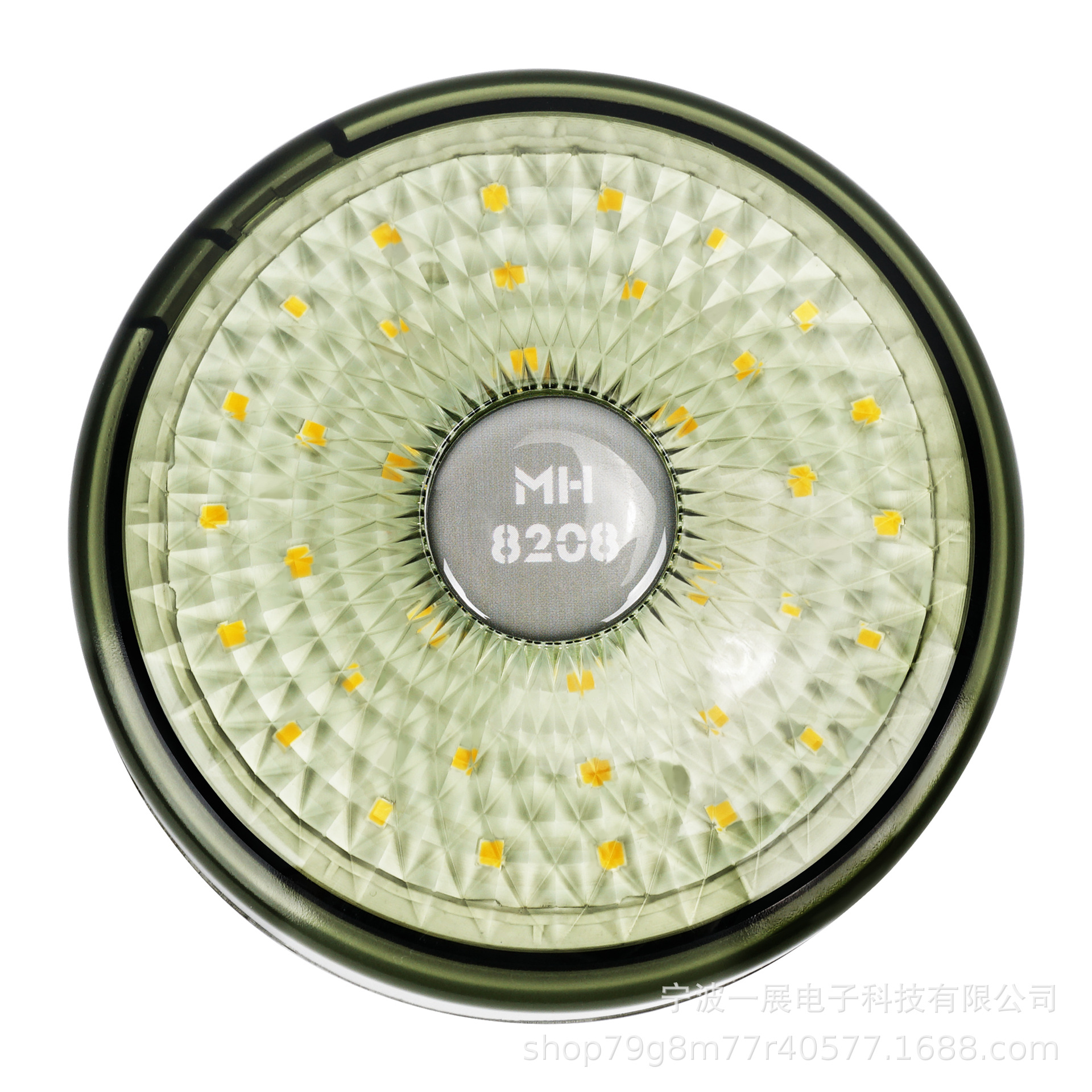 아미 그린(8m라인)