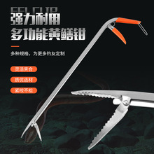 ���l���P䓼Ӻ�๦���S�X�A���q�з�A�ۯB�������L�h�l�����A