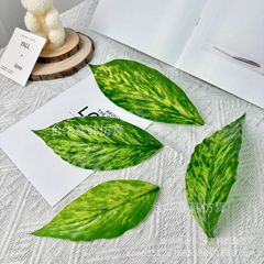 一帆风顺仿真万年青DIY假花叶子仿真树叶婚庆室内装饰墙配件绿植