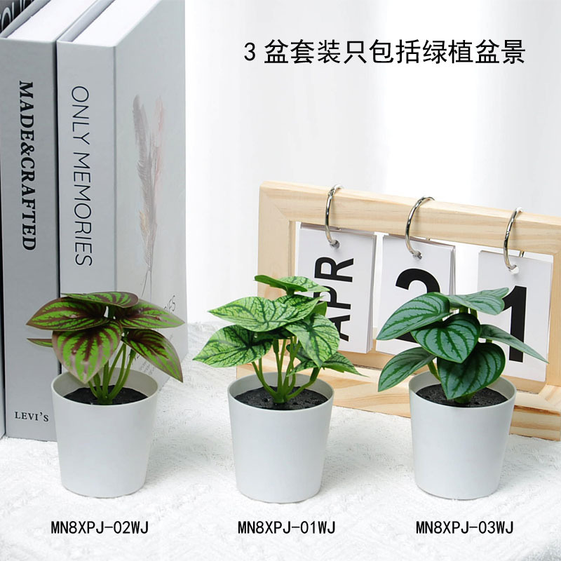 Mini maceta de 11 cm 3 juegos