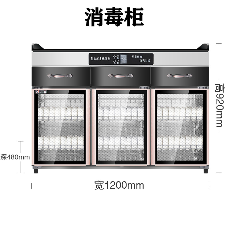 双门立式消毒碗柜家用茶水消毒柜商用带抽屉酒店包厢餐厅配餐边柜