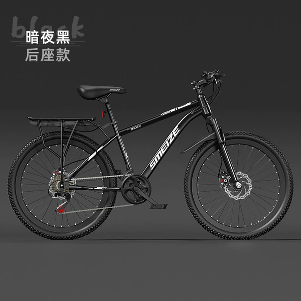 Black shock-absorbing bike spokes disc brake
