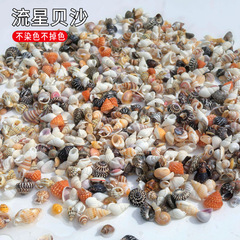 小さな貝殻のサザエは斤で流れ星の貝の粉の砂の螺旋の貝の小さい貝のサトイモのサザエのタケノコのサザエの酸っぱい貝を売ります。
