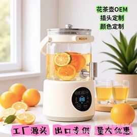 出口跨境家用电热水壶 带水龙头玻璃养生壶 花茶壶 煮茶器 煮